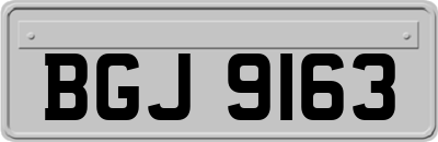 BGJ9163