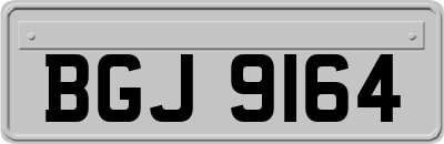 BGJ9164