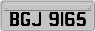 BGJ9165