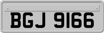 BGJ9166