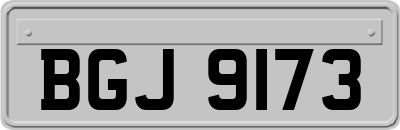BGJ9173