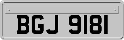 BGJ9181