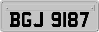 BGJ9187