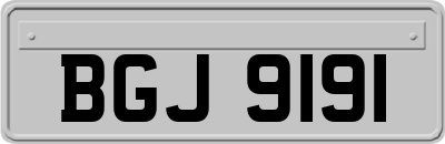 BGJ9191