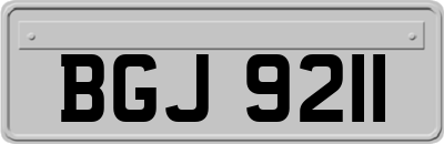 BGJ9211