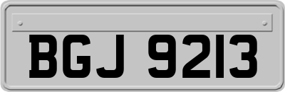 BGJ9213