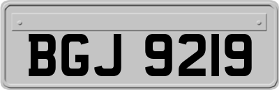 BGJ9219