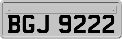 BGJ9222