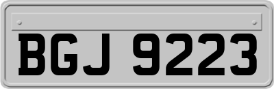 BGJ9223