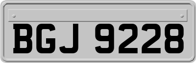BGJ9228