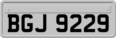 BGJ9229