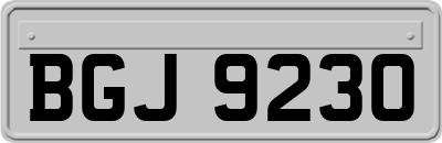 BGJ9230