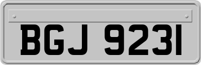 BGJ9231