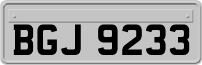 BGJ9233