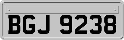 BGJ9238