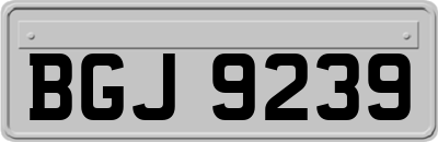 BGJ9239