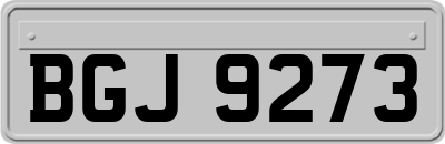 BGJ9273