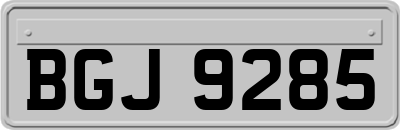 BGJ9285