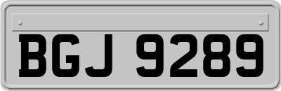 BGJ9289