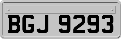 BGJ9293