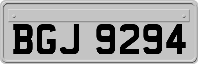 BGJ9294