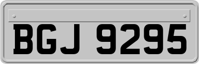 BGJ9295