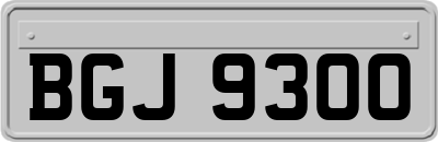 BGJ9300