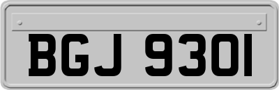 BGJ9301