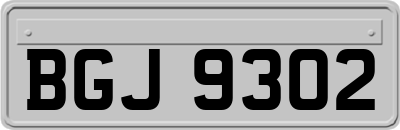 BGJ9302