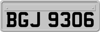 BGJ9306