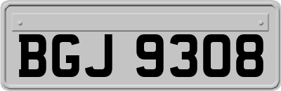 BGJ9308