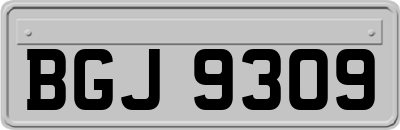 BGJ9309