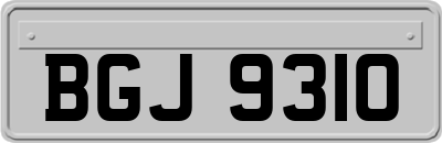 BGJ9310