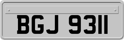 BGJ9311