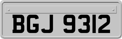 BGJ9312
