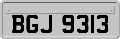 BGJ9313