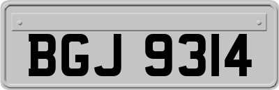 BGJ9314