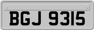 BGJ9315