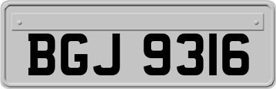 BGJ9316