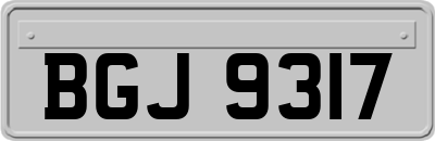 BGJ9317
