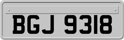 BGJ9318