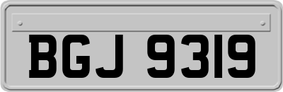 BGJ9319