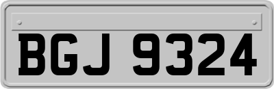 BGJ9324