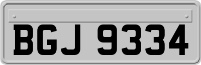 BGJ9334