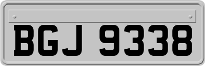BGJ9338