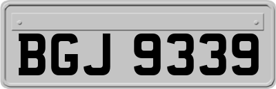 BGJ9339