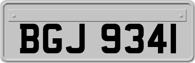 BGJ9341