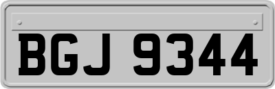 BGJ9344