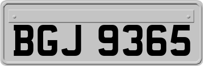 BGJ9365