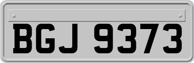 BGJ9373